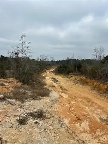 0 Mccauley Sheridan Road, Bogalusa, LA 70427 - #2