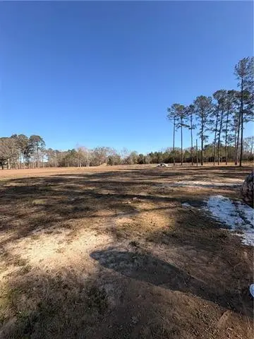 18499 Serene Pond Drive, Franklinton, LA 70438 - #2
