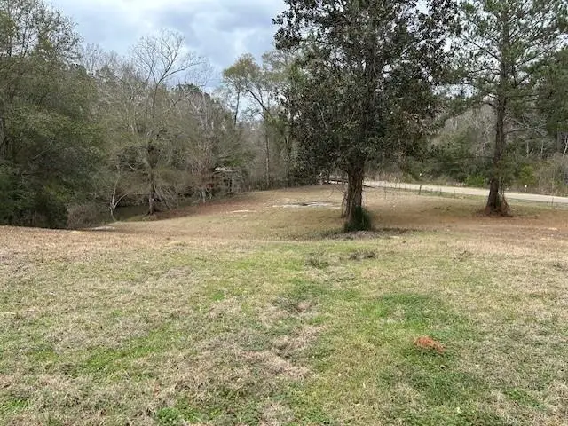 26585 Old Lake Road, Mount Hermon, LA 70450 - #2