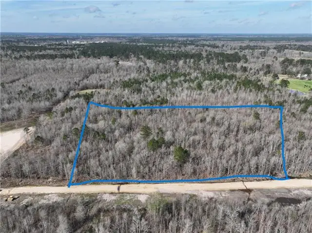 A1C1-A Bayou Lane, Holden, LA 70744 - #3