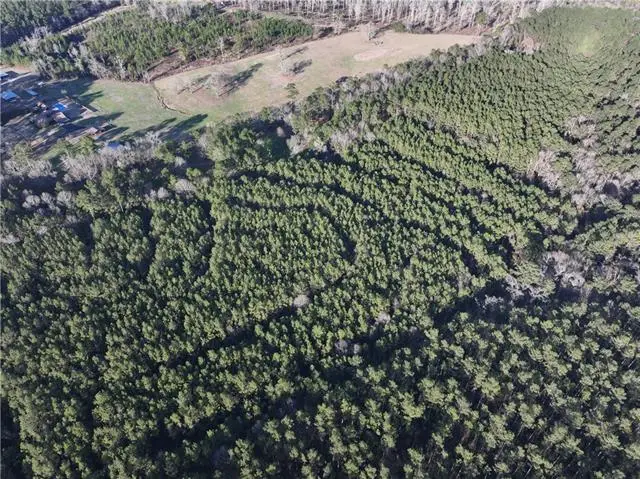 Hwy 43 Highway, Greensburg, LA 70441 - #2