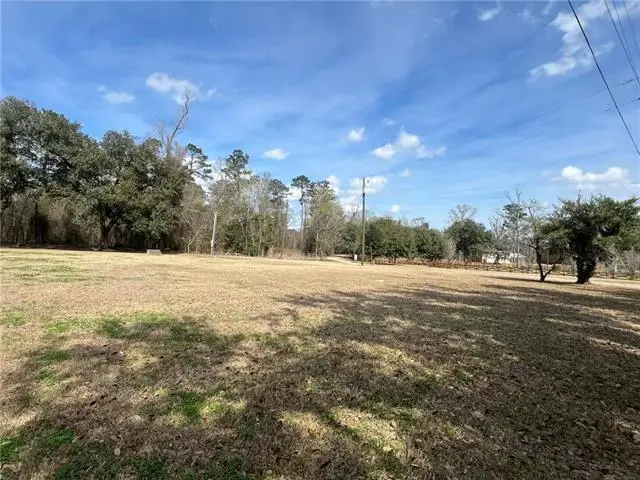 16683 Meissner Road, Springfield, LA 70462 - #2