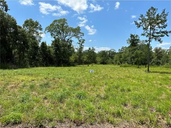 Lot 3 The Banks Dr, Hwy 16 Highway, Franklinton, LA 70438