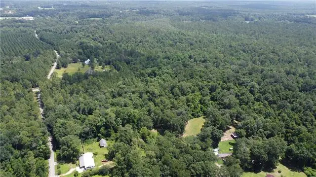 115 Acres Watts Thomas Road, Bush, LA 70431 - #1