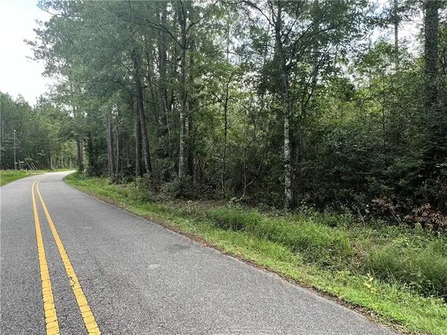 115 Acres Watts Thomas Road, Bush, LA 70431 - #3