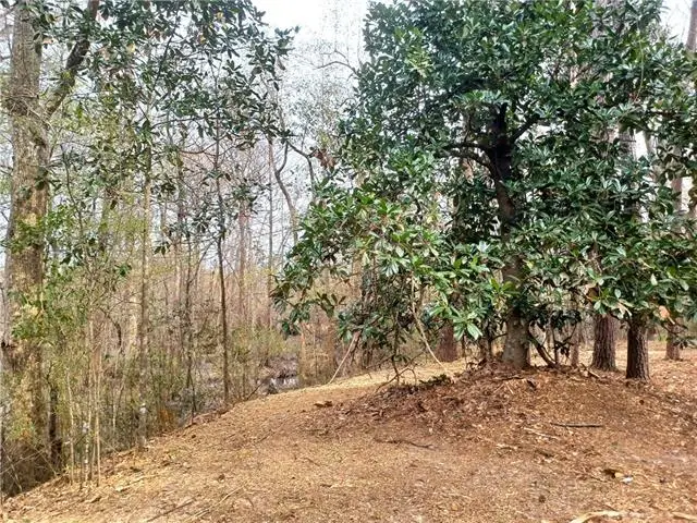 14071 Cypress Crest Lane, Ponchatoula, LA 70454 - #3