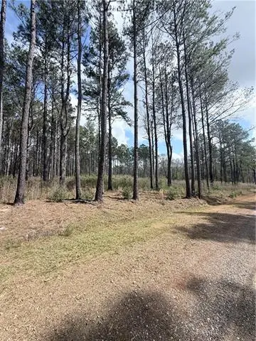 M-3 Hidden Hills Drive, Franklinton, LA 70438