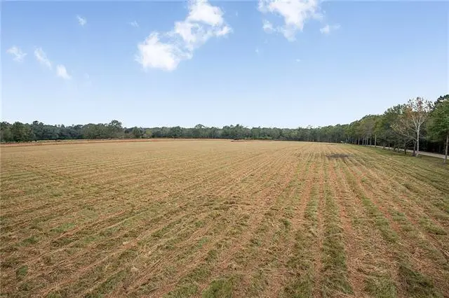 12294 Quaglino Road, Folsom, LA 70437 - #2