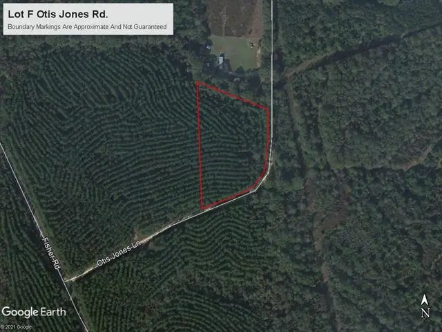 Lot F Otis Jones Road, Franklinton, LA 70438 - #2