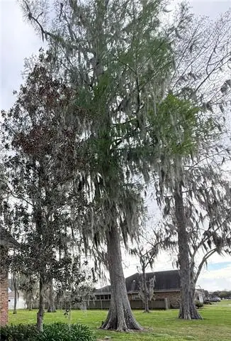 50 Belle Grove Drive, Destrehan, LA 70047 - #3