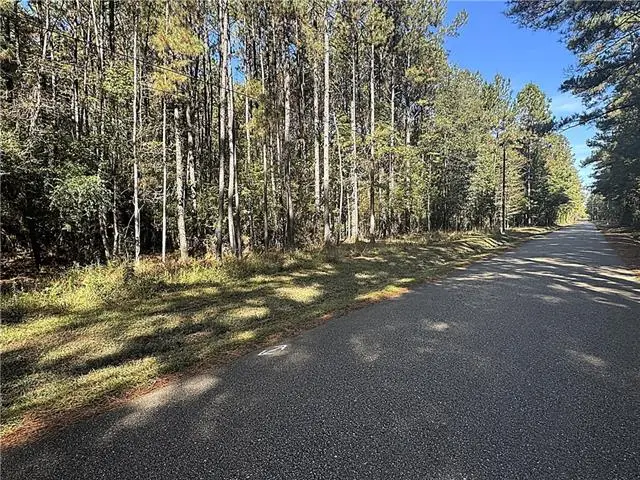 12 Acres Bruhl Road, Folsom, LA 70437 - #1