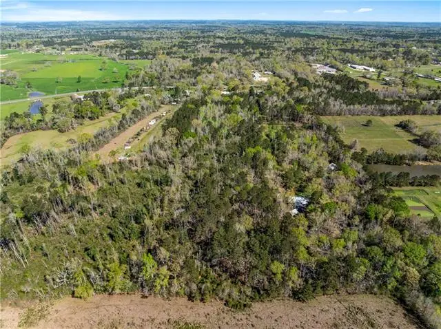 10392 & 10398 Highway 16, Amite, LA 70422 - #2