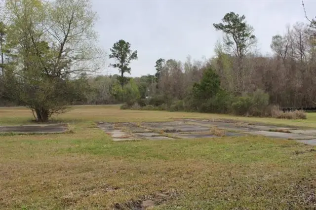 Riverscape Drive, Springfield, LA 70462 - #1