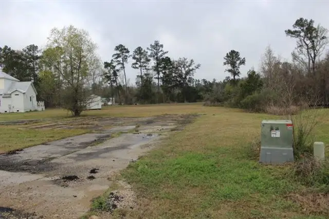 Riverscape Drive, Springfield, LA 70462 - #3