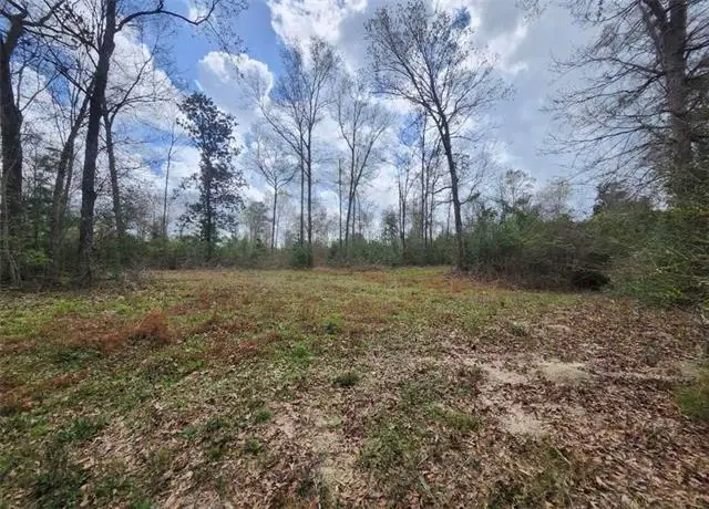 33979 Hwy 441 Highway, Holden, LA 70744 - #3