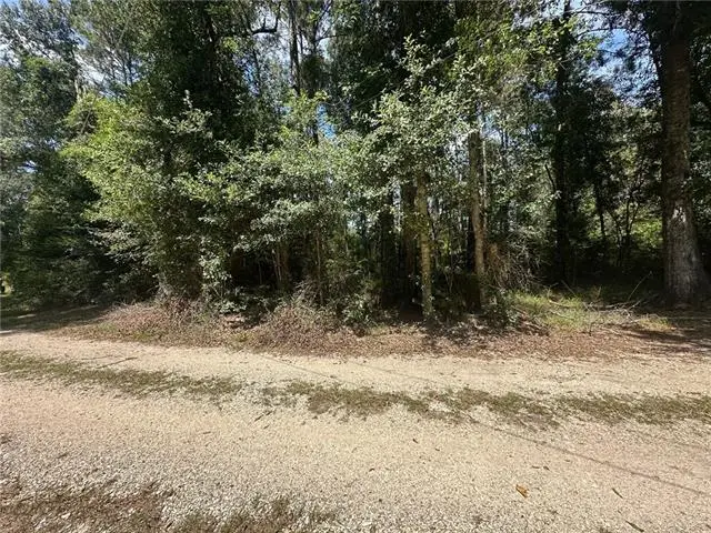TBD Tract 4 Ragusa Road, Independence, LA 70443 - #2