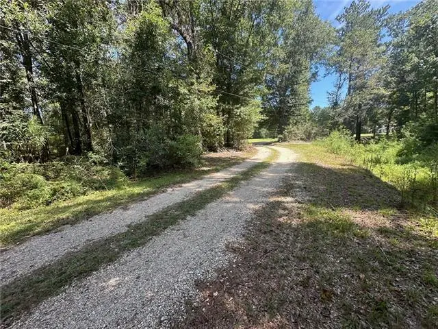 TBD Tract 4 Ragusa Road, Independence, LA 70443 - #3