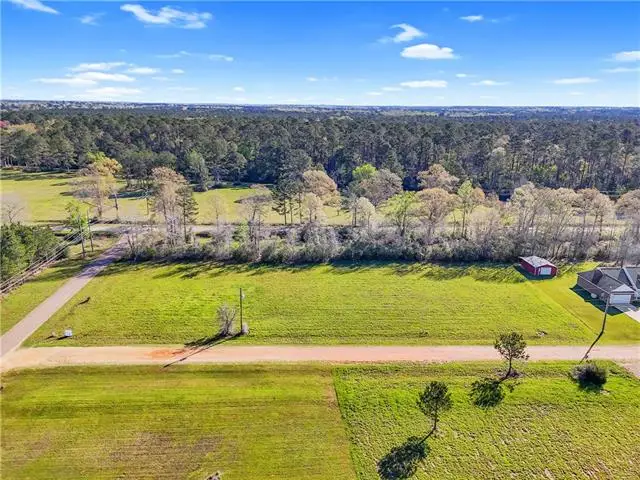 Lot 1 Old Union Road, Franklinton, LA 70438 - #3
