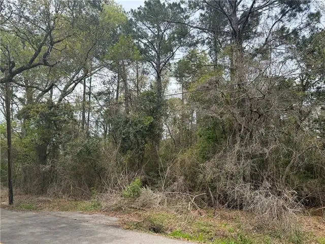 14 Hester Street, Madisonville, LA 70447 - #3