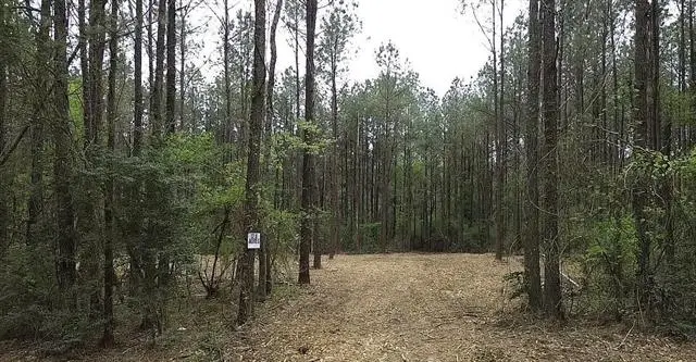 TBD Harts Lane, Kentwood, LA 70444 - #2