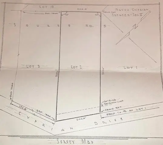 29244 Cyprian Drive, Lacombe, LA 70445 - #1