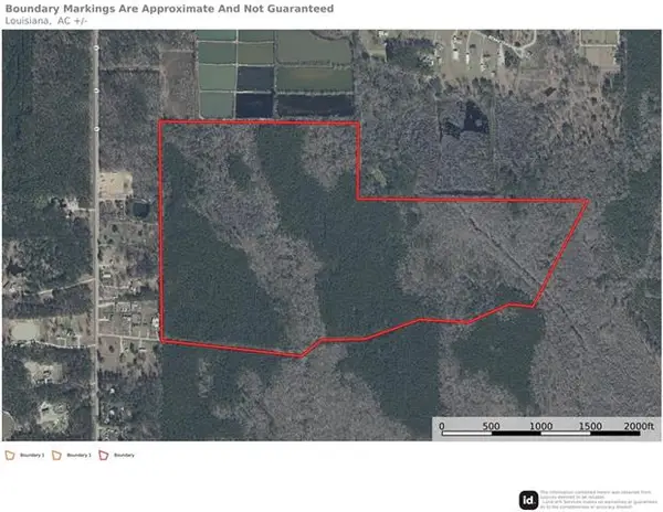 135 Acres Belle Woods Drive, Holden, LA 70744
