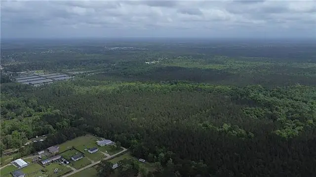 135 Acres Belle Woods Drive, Holden, LA 70744 - #3