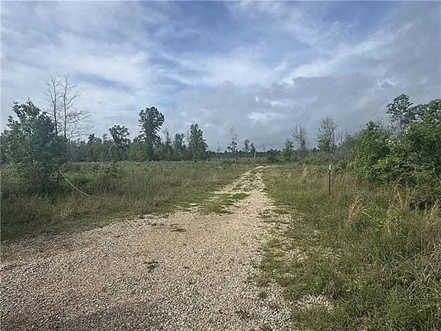 148 Acres Lost Oak Lane, Livingston, LA 70754 - #2