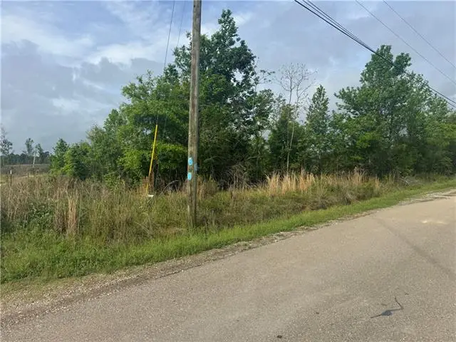 148 Acres Lost Oak Lane, Livingston, LA 70754 - #3