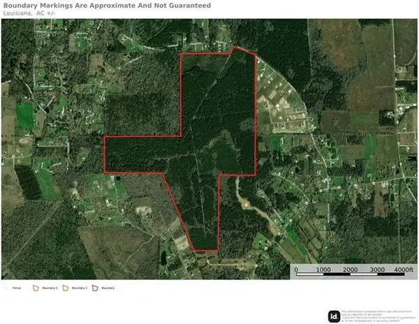 420 Acres Palmer Road, Livingston, LA 70754