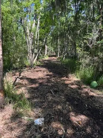 0 Copal & David Dr. Street, Mandeville, LA 70448