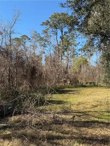 0 Copal & David Dr. Street, Mandeville, LA 70448 - #2