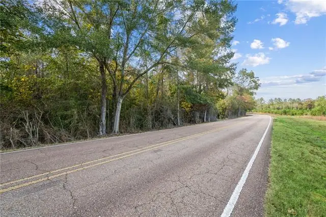 Highway 62 Lot 2, Franklinton, LA 70438 - #2