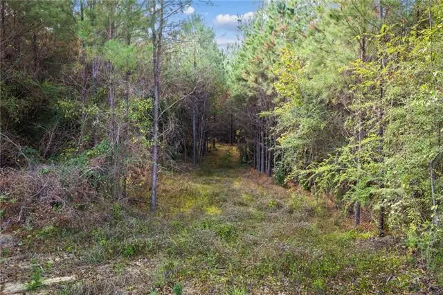 Highway 62 Lot 3, Franklinton, LA 70438 - #3