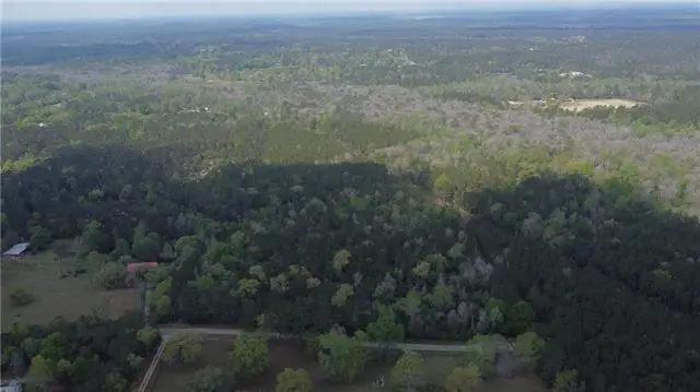 10 Acres Holliday Road, Folsom, LA 70437 - #2