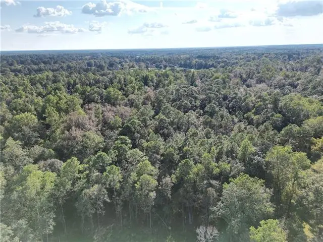 105 Hialeah Drive, Bush, LA 70431 - #3