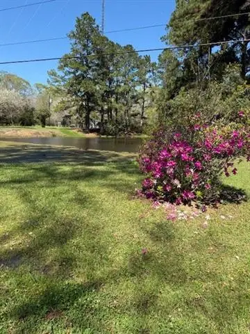 28267 Stanga Lane, Ponchatoula, LA 70454 - #3