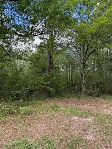 50031 Highway 1065 Highway, Tickfaw, LA 70466 - #2