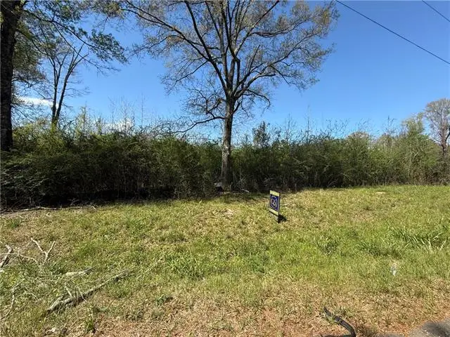 1175 Mount Zion Road, Osyka, MS 39657 - #1