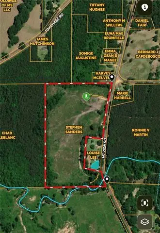 1175 Mount Zion Road, Osyka, MS 39657 - #2