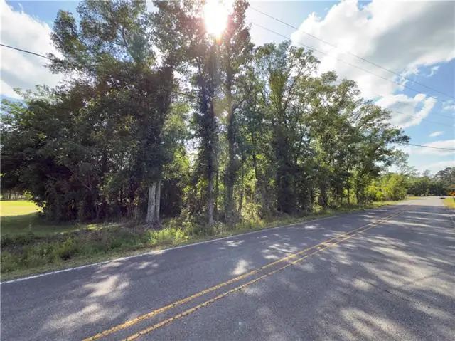 Bear Island Rd. 3.10 Acres Sec 7-9-6 Road, Maurepas, LA 70449 - #1