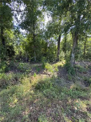 Bear Island Rd. 3.10 Acres Sec 7-9-6 Road, Maurepas, LA 70449 - #2