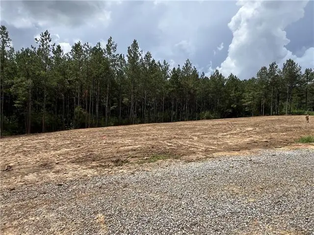 Lot 5 Hwy 25 Highway, Franklinton, LA 70438 - #3