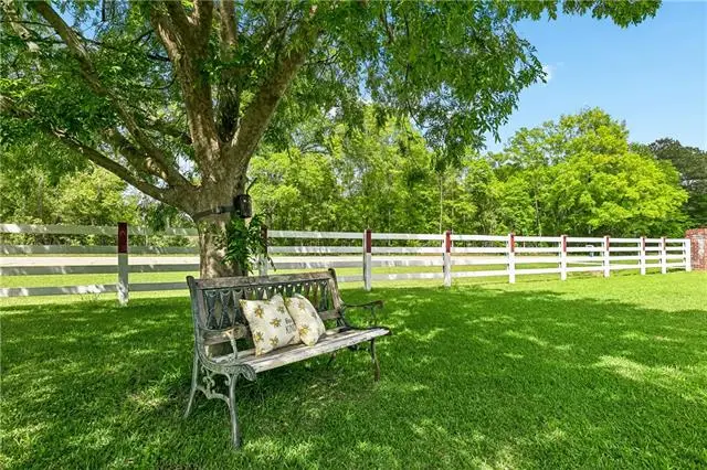 18252 Hwy 16 Highway, Amite, LA 70422 - #3