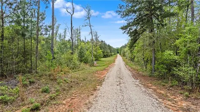 12659 Savarese Drive, Franklinton, LA 70438 - #3