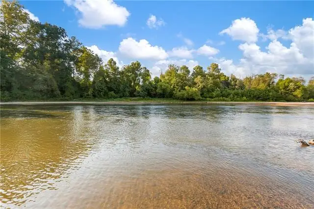 Lot 73 The Banks Drive - Hwy 16 Highway, Franklinton, LA 70438 - #1