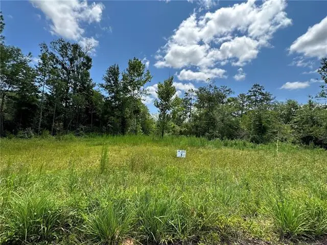 Lot 1 The Banks Dr, Hwy 16 Highway, Franklinton, LA 70438 - #1