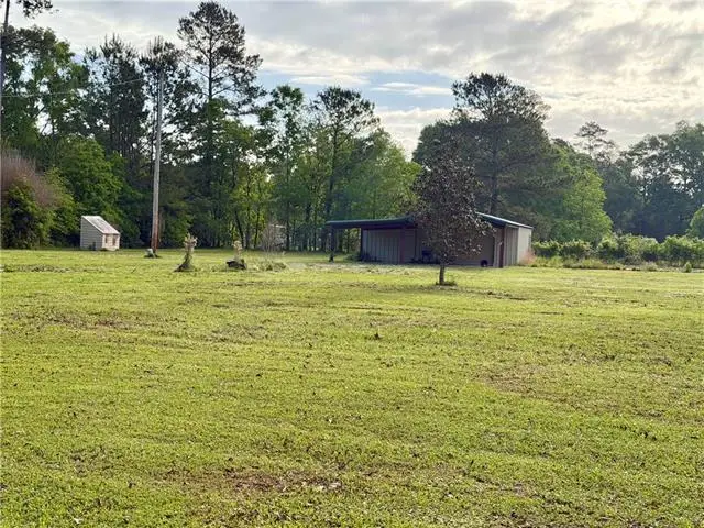 20275 Chappepeela Road, Loranger, LA 70446 - #3