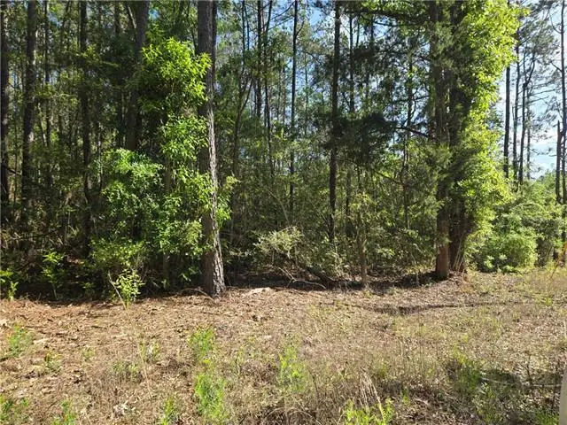 0 Arlena Lane, Poplarville, MS 39470 - #1