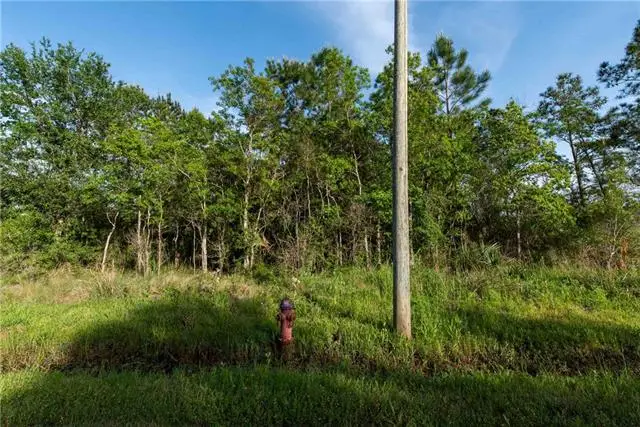 11240 E Bayou View Drive, Bay Saint Louis, MS 39520 - #2